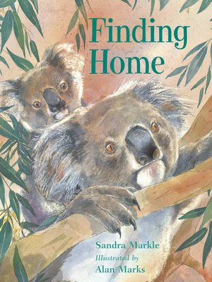 cover image of Finding Home